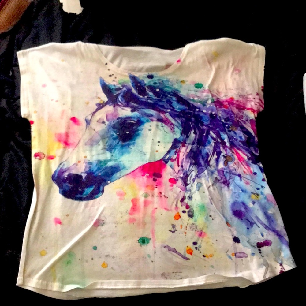 Rainbow horse
